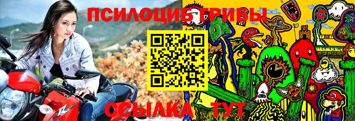 Псилоцибиновые грибы Cubensis Светлоград