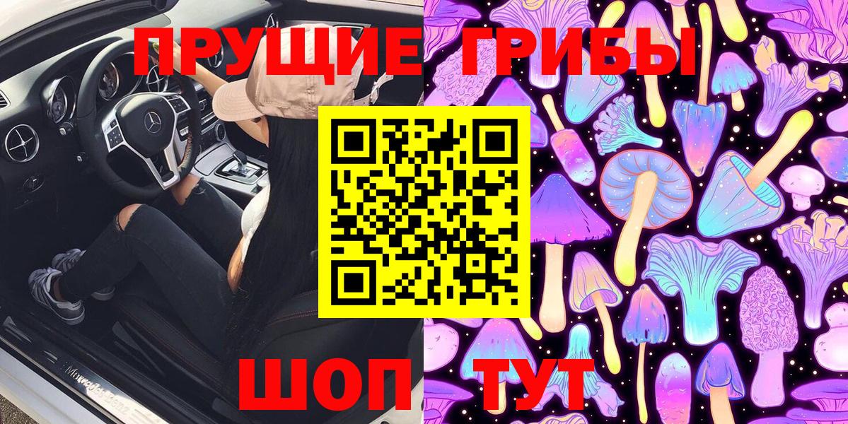 купить закладку  Вход с VPN  Светлоград  Галлюциногенные грибы Cubensis  Псилоцибиновые грибы Cubensis 